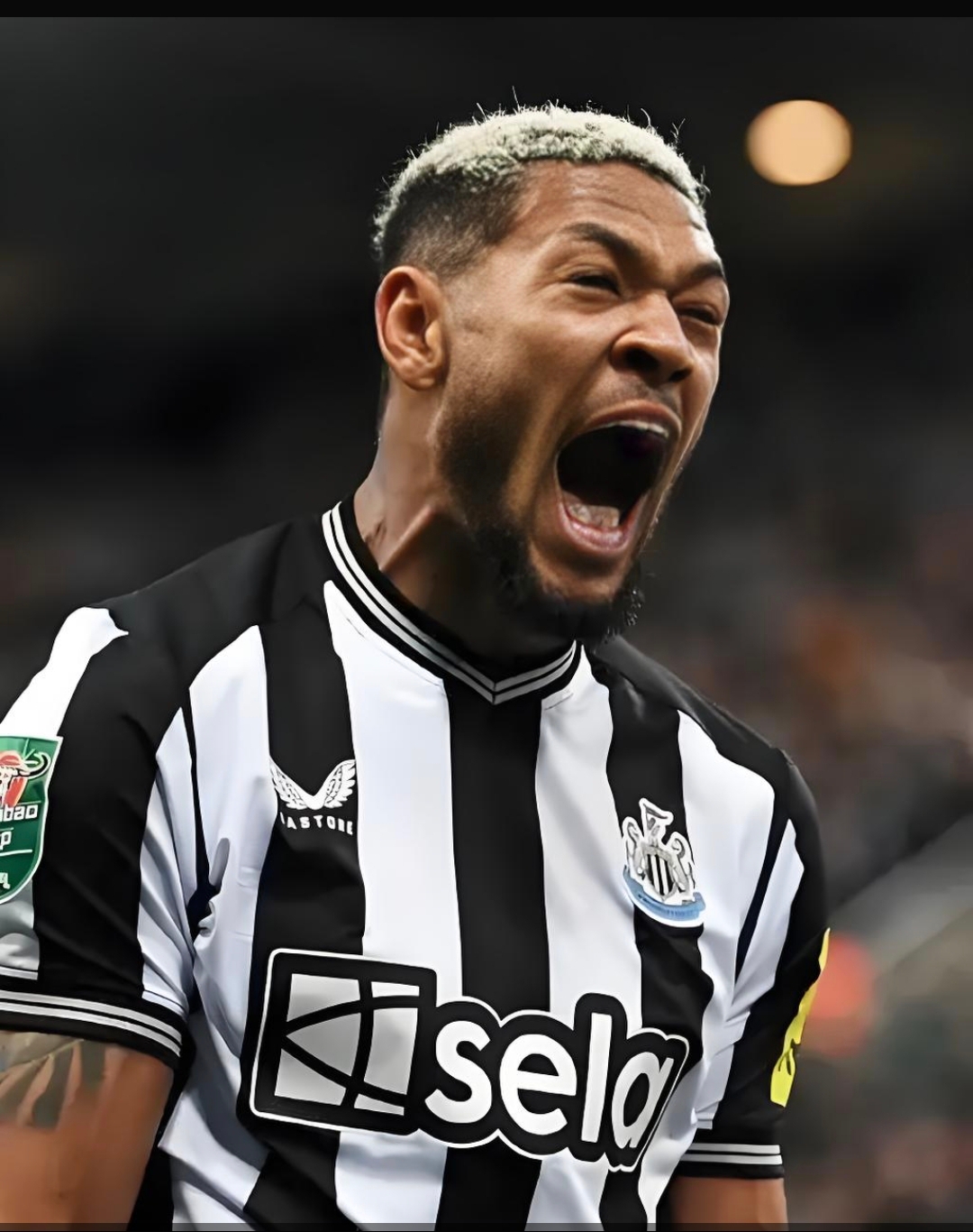 纽卡斯尔迎意甲关键赛，今晨止住颓势，管理层满意，赛程密集仍需轮换(意甲赛程直播)