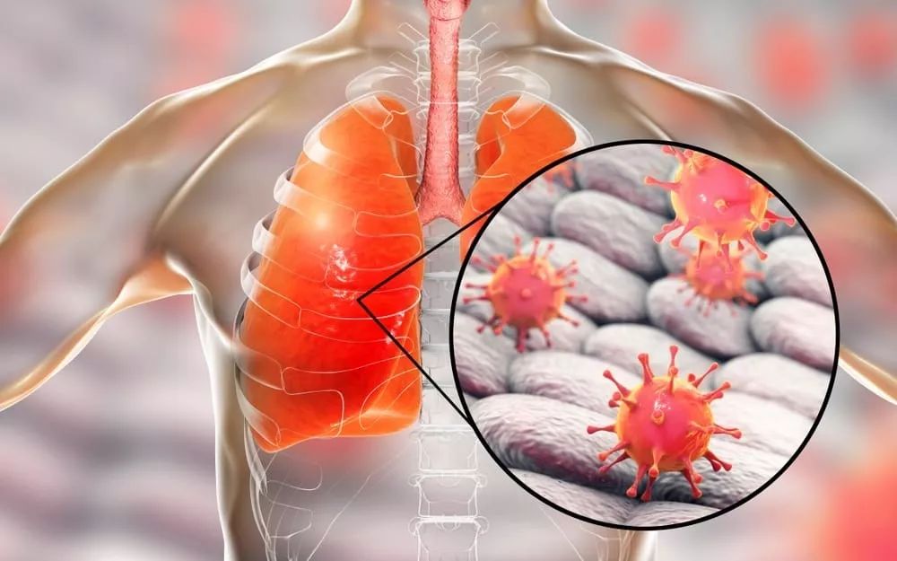迈阿密热火发布备战花絮,赛前队长鼓劲,荷甲任务艰巨,医务组通报恢复的简单介绍 迈阿密热火发布备战花絮,赛前队长鼓劲,荷甲任务艰巨,医务组通报恢复的简单介绍